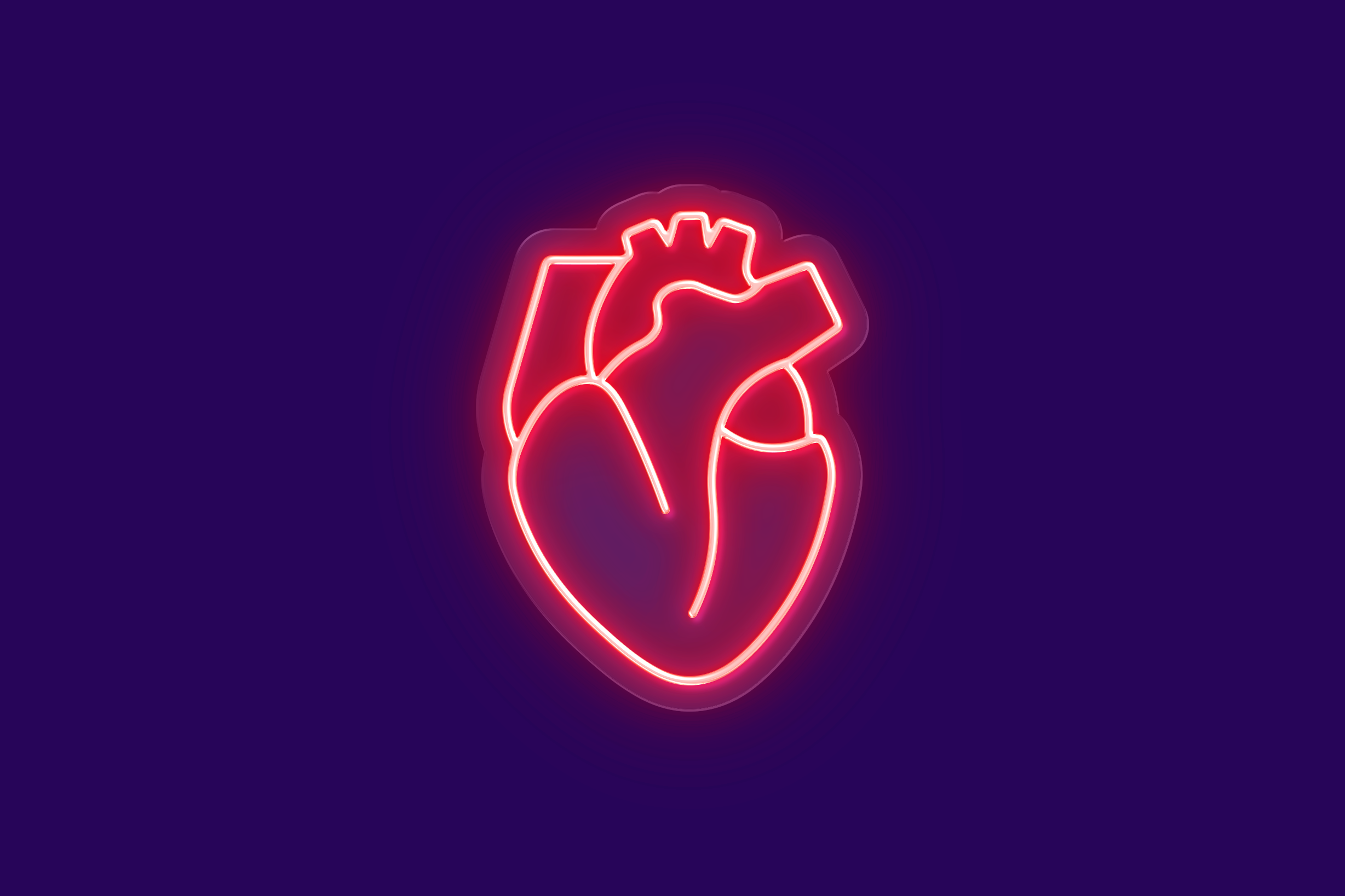 CUORE ANATOMICO