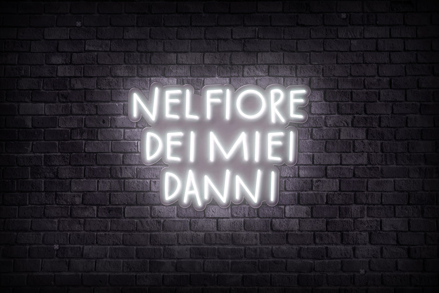NEL FIORE DEI MIEI DANNI