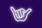 STAY SHAKA