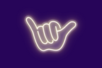 STAY SHAKA